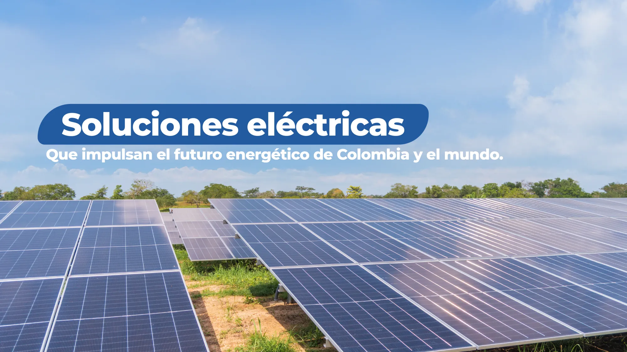 Proyecto ACEMA 2